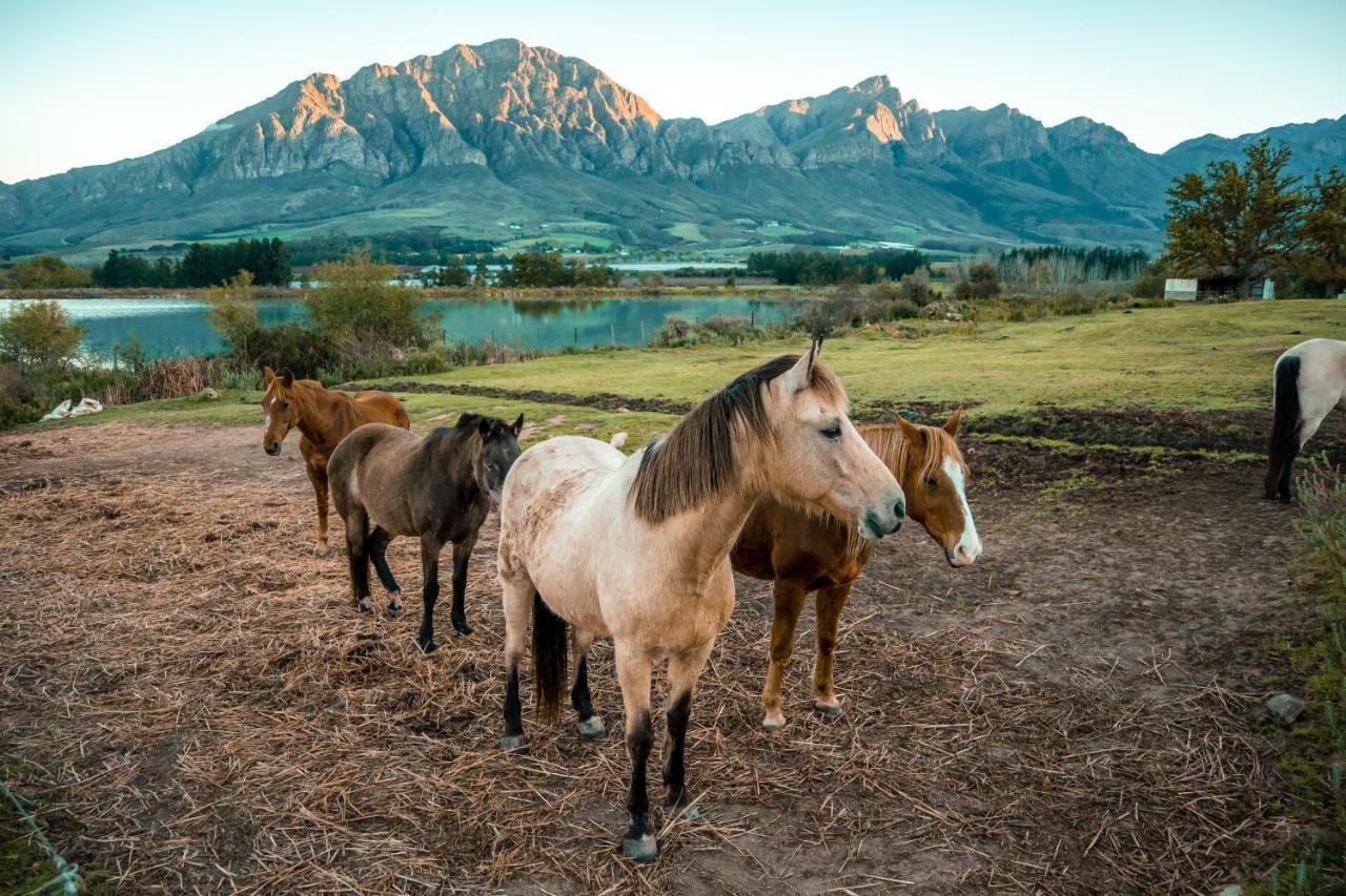 Tulbagh Boutique Heritage Hotel Ngoại thất bức ảnh